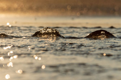 Close-up of water