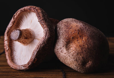 Close-up of mushroom growing on table