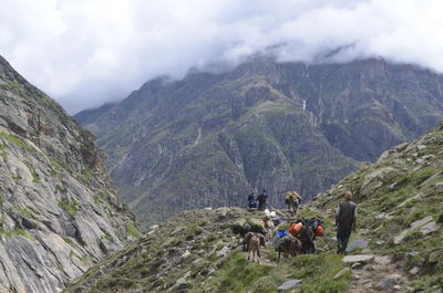 Rear view of people with donkeys on mountain against sky