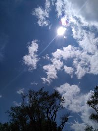 Low angle view of tree against sky