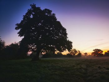 Silhouette trees on field against sky during sunset