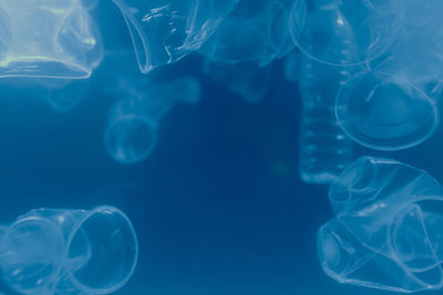 Close-up of jellyfish in sea