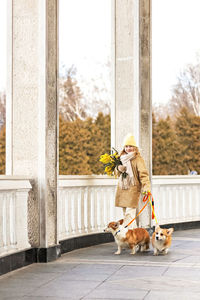 A toddler girl in a coat  with a corgi dog in the park. holds a bouquet of mimosa in her hands. 