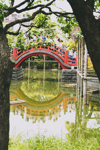 View of garden in park