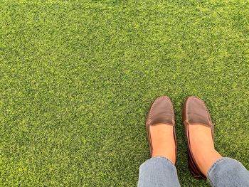 Low section of person standing on grass