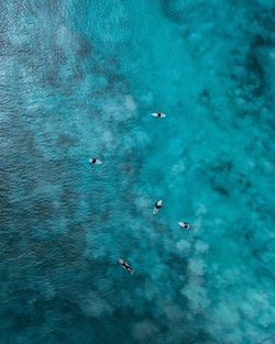 Aerial view of people on surfboards in sea