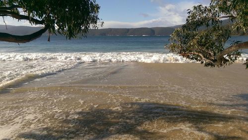 Scenic view of beach against sky