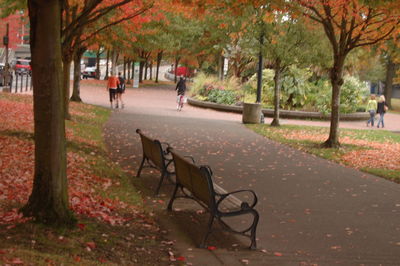 Footpath in park