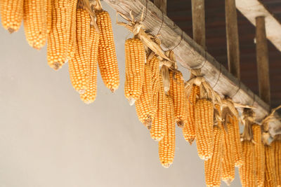 Low angle view of clothes hanging on wall