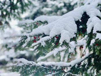 Close-up of snow