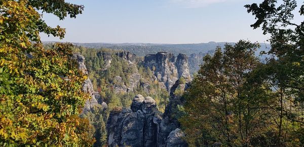 Panoramic view of forest against clear sky
