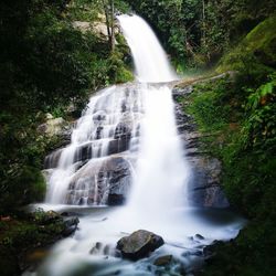 View of waterfall in forest