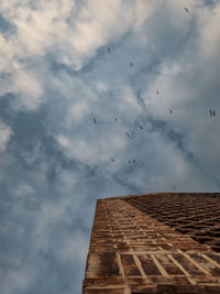 Low angle view of birds flying against sky