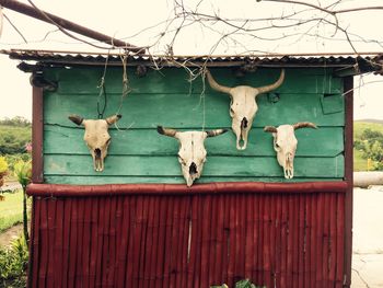 Clothes drying on clothesline