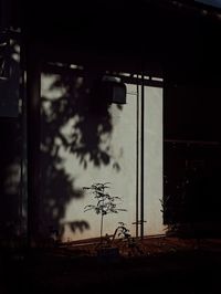 Silhouette trees and abandoned building