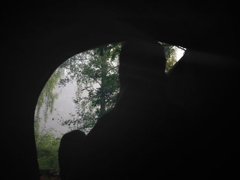 Close-up of silhouette man holding plant against dark sky