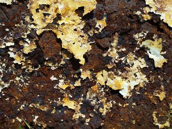 Full frame shot of abstract background