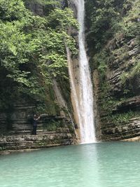 Scenic view of waterfall in forest