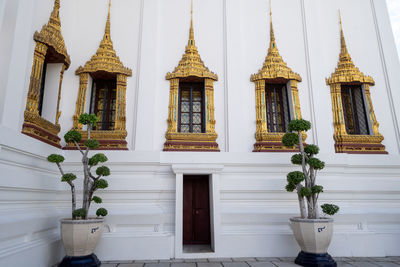 Potted plants outside building