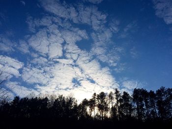 Low angle view of trees against blue sky