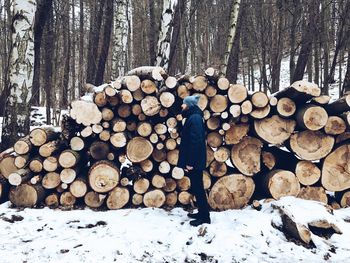 Stack of logs