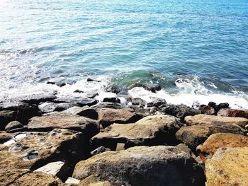 Scenic view of beach