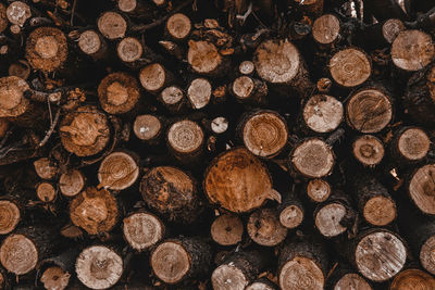 Full frame shot of logs in forest