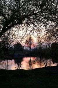 Silhouette trees by lake against sky during sunset