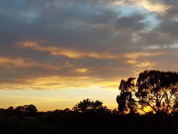 Low angle view of silhouette trees against sky during sunset