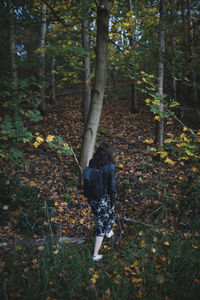 Rear view of person standing by trees in forest