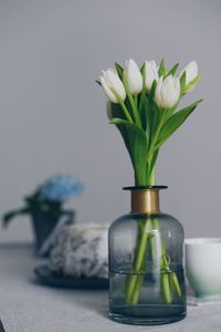 Close-up of tulip in vase