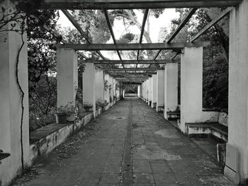 Empty footpath amidst buildings