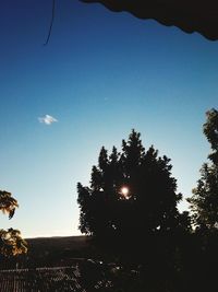 Low angle view of trees against clear blue sky