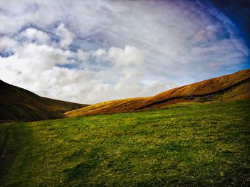 Scenic view of field against sky