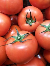 Full frame shot of tomatoes