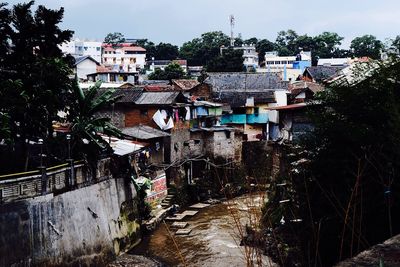 Trees in city against sky