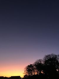 Low angle view of silhouette trees against sky at night