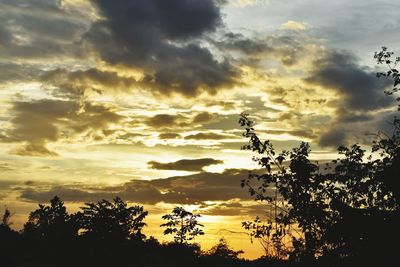 Low angle view of silhouette trees against sky during sunset