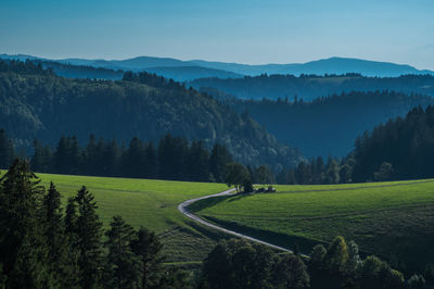 Scenic view of agricultural field against sky