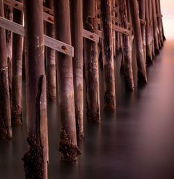 Close-up of wooden pier posts