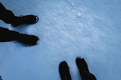 Low section of persons standing on snow