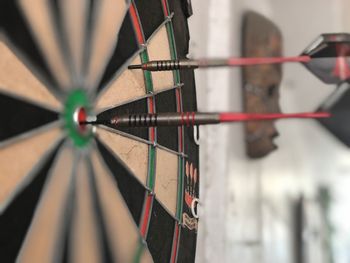 Close-up of arrows on target