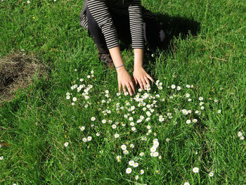 Low section of woman by flowering plants on land