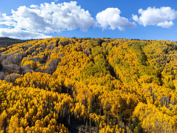 Grand mesa, colorado