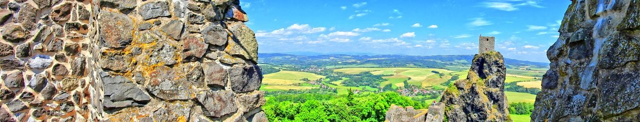 Panoramic shot of trees on landscape against sky