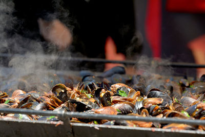 Close-up of meat on barbecue grill