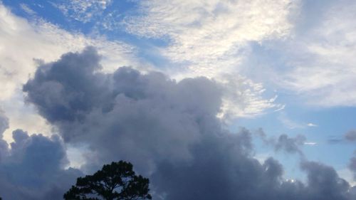 Low angle view of trees against sky