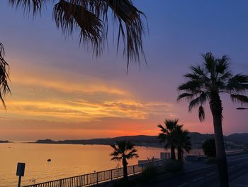 Silhouette palm trees by swimming pool against sky during sunset