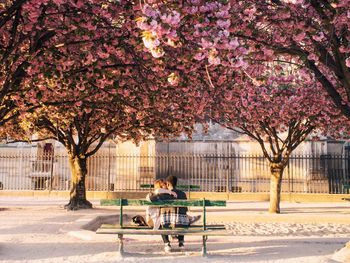 Flowers in park