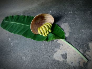 High angle view of fruit on floor